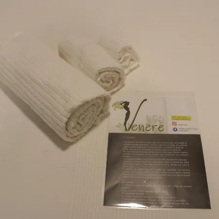招待所 Venere 4*