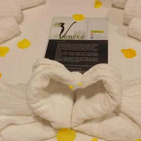 Venere カステルモーラ