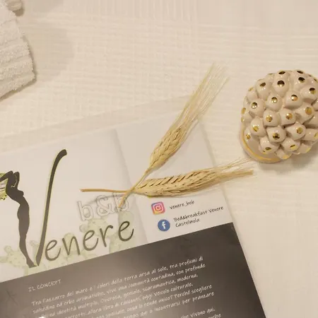 Venere カステルモーラ