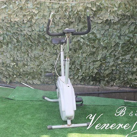 ゲストハウス Venere 4*