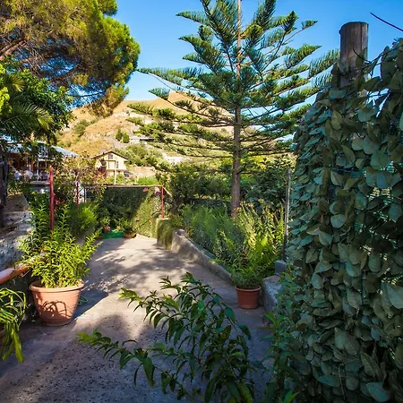 Venere カステルモーラ