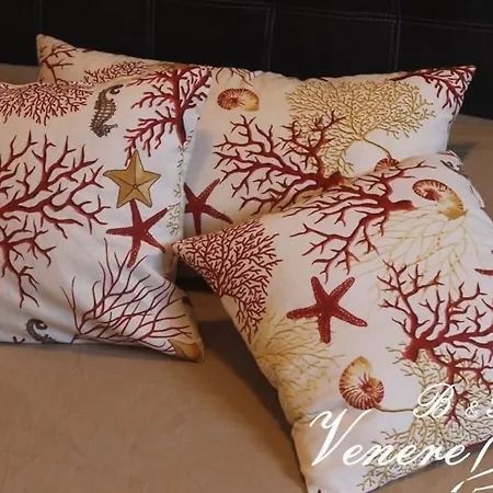 ゲストハウス Venere カステルモーラ